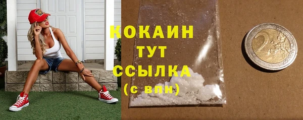 меф Гусь-Хрустальный
