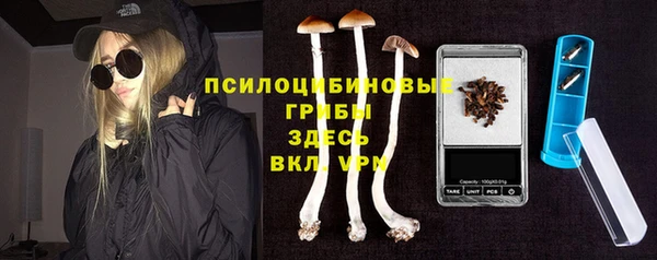 трава Гусев
