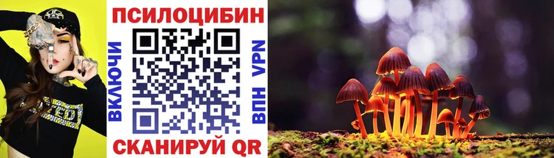 наркошоп  Мытищи  Псилоцибиновые грибы Psilocybine cubensis 