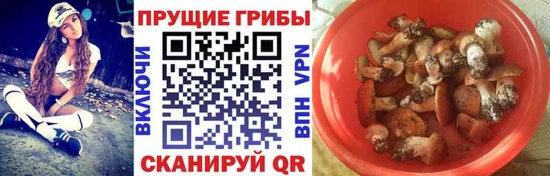 Галлюциногенные грибы Magic Shrooms Мытищи